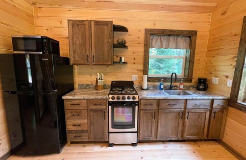Munising Cabin | Brand New Cozy Tiny Cabin Nestled in the Hiawatha National Forest