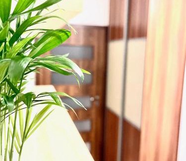 Nivy Apartment | Bratislava City Center