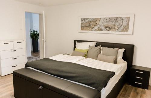 Kandel Apartment | Brehm Living