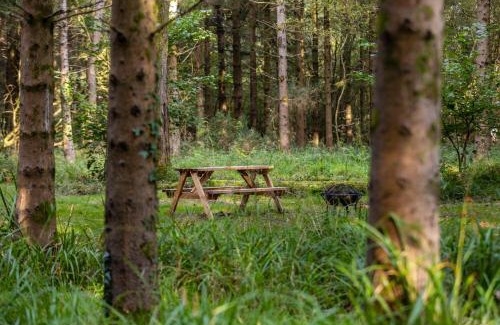 Middlemarsh Other | Bridgewood Camping - CABIN