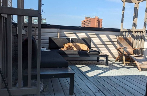 The Pocket House | Bright spacious rooms on the Danforth.