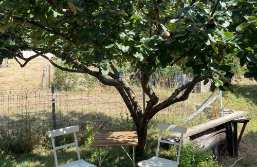 Manternach Apartment | Bright studio with a garden