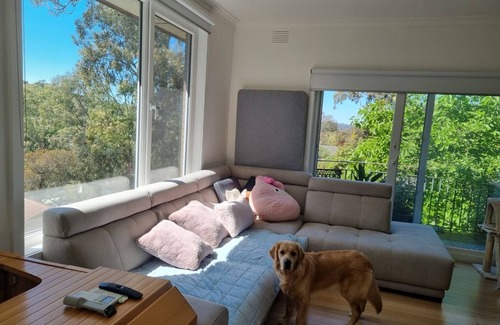 Greensborough House | Bright Sunny Room in Greensborough