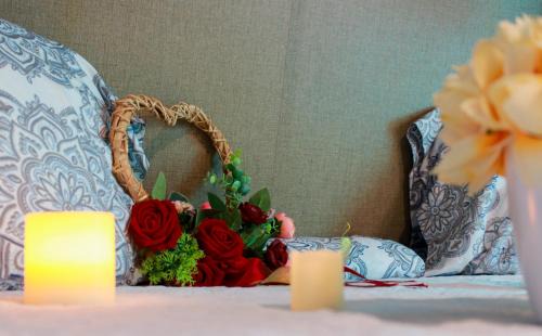 Bejucos House | Brisas de Isabela Cozy Glamper 1