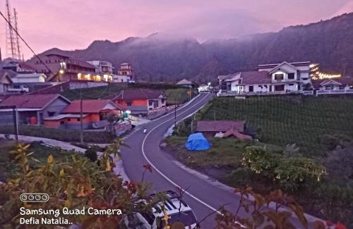 Ngadisari House | Bromo Deddy Homestay