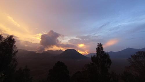 Ngadisari House | Bromo Holiday Guest House