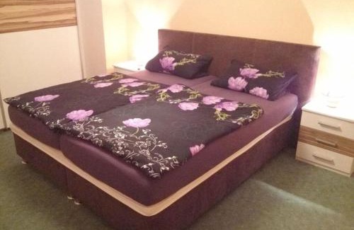 Goslar House | Bruns Comfortable holiday residence