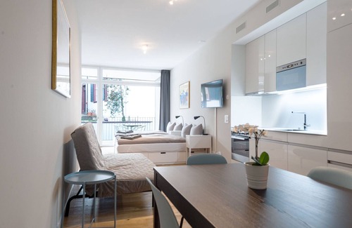 Basel City Centre Apartment | BS Hodler II - Marktplatz HITrental Apartment
