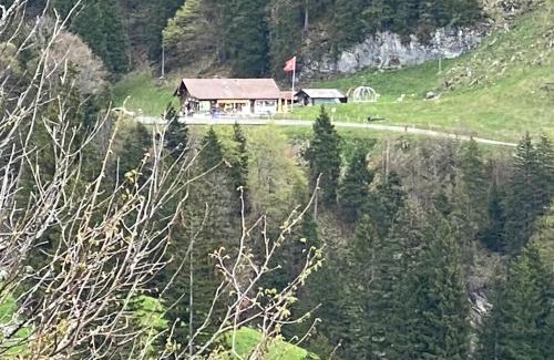 Innertkirchen Other | Bubble Suite Engstlenalp