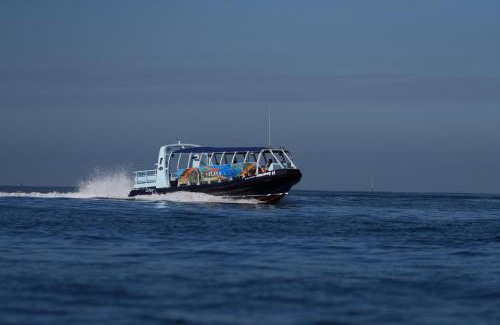 North Hotel Zone Boat Rental | Bubu's Toy Yate Privado