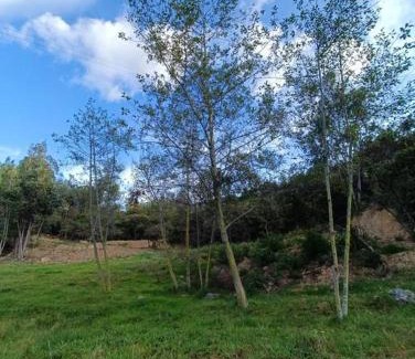 Raquira House | Buena vista, espacio natural.