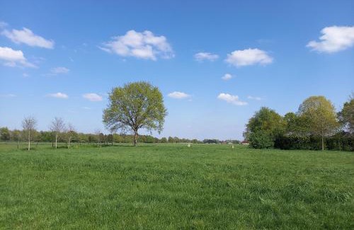 Elim Other | BuitenplaatsDrenthe