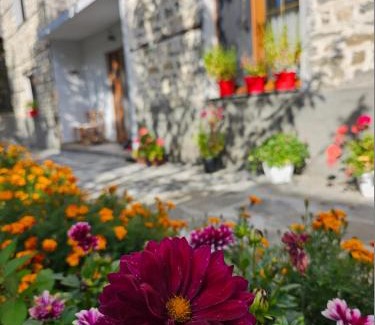 Rabdisht House | Bujtina Goleci