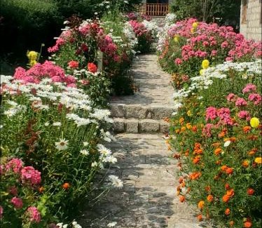Moscopole Bed & Breakfast | Bujtina SHKODRANI