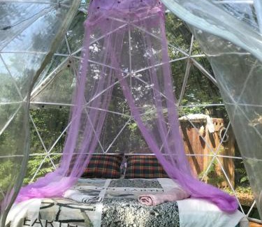Saint Sever Other | Bulle en Nature Landaise