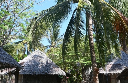 Karimunjawa Islands Cabin | Bunga Jabe Beach