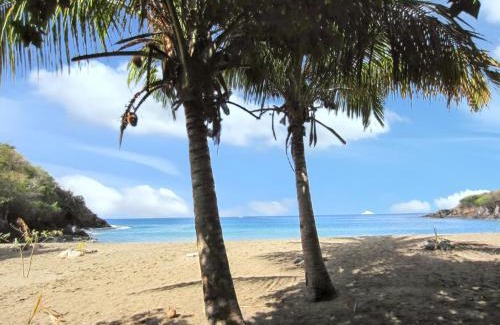 Bouillante House | Bungalow accueillant à Bouillante avec climatisation et terrasse