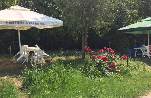 Eforie Cabin | Bungalow Eforie Nord