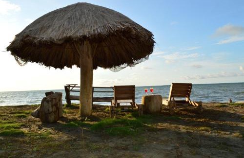 Monitos House | Bungalow Palmar del Viento by AMAUNA