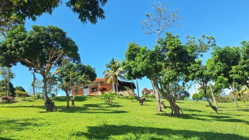 Rumisapa Other | Bungalows Las Brisas de Pacchilla