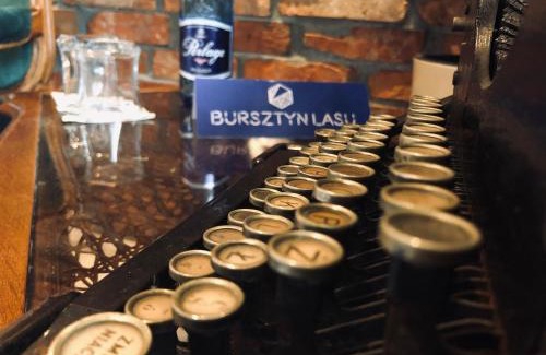 Wzgorze Swietego Maksymiliana Apartment | Bursztyn Lasu