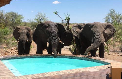 Phalaborwa House | Bushvilla Umoja Kruger