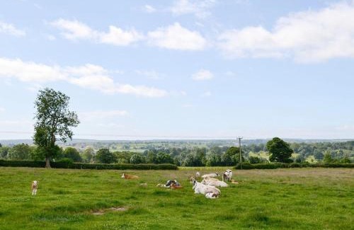 Ripley House | Buttercup Cottage