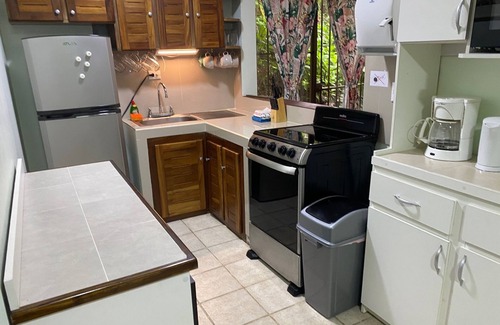 El Cerro Condo | Butterfly Condo near beaches and downtown, surrounded by nature