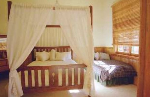 Nirranda Bed & Breakfast | Butterfly Farm