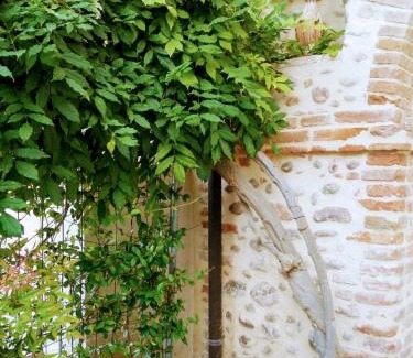 Volta Mantovana House | Cà Romi