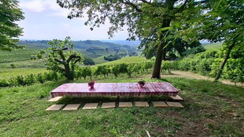 Barbaresco House | Cà Trifolera Barbaresco - Romantico Cascinale con antica cantina nel cuore delle Langhe - DEGUSTAZIONE VINI NELLA NOSTRA CANTINA