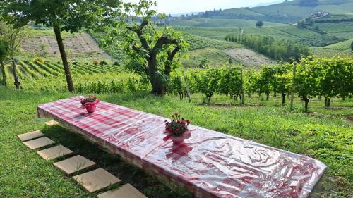 Barbaresco House | Cà Trifolera Barbaresco - Romantico Cascinale con antica cantina nel cuore delle Langhe - DEGUSTAZIONE VINI NELLA NOSTRA CANTINA