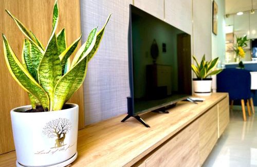 Tan Phu District Apartment | Căn Hộ 2 phòng ngủ Emerald cạnh Siêu Thị AEON mall Tân Phú