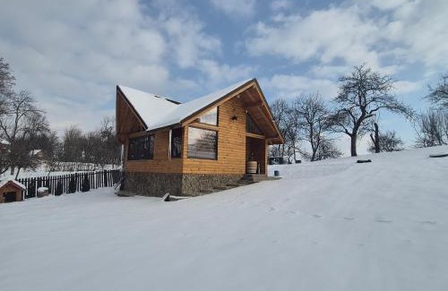 Berevoesti House | Căsuță Baciului
