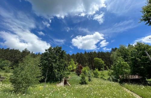 Piatra Neamt Apartment | Căsuța din pădure