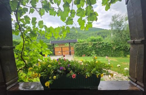 Turnu Rosu House | Căsuța din Rusca