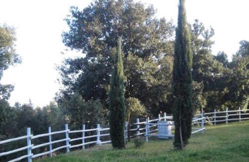 Monteverdi Marittimo House | Ca'Cecia