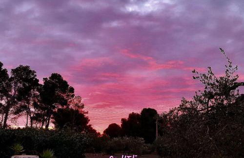 Vilanova d'Escornalbou House | Ca l'Eli different experience HUTT 12157