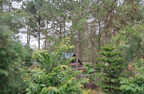 Siguatepeque Ski Chalet | Cabaña monte de los olivos