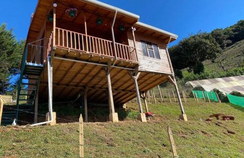 Canton Leon Cortes Castro Ski Chalet | Cabaña Peacock – CUTE cabin with an AMAZING view!