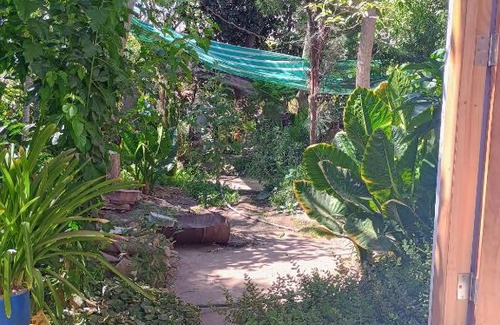 Vicuna Apartment | Cabaña Peralillo