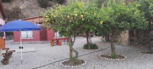 Caleta Horcon House | Cabaña Pizarro Horcón