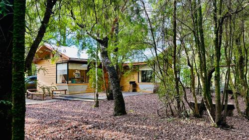 Melipeuco House | Cabaña Roca Volcán