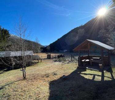 Pucon Ski Chalet | Cabañas cordillera Rio Blanco