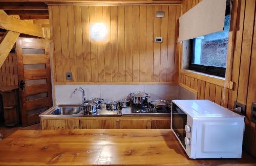 Melipeuco Apartment | Cabañas Del Monte 1