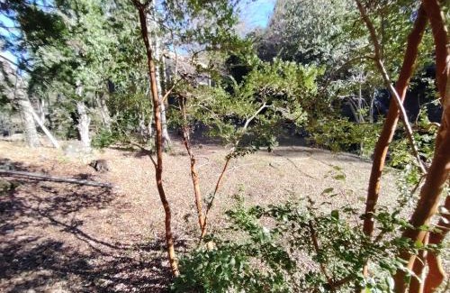 Melipeuco Apartment | Cabañas Del Monte 1