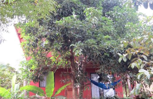 Hanga Roa House | Cabañas Manuto