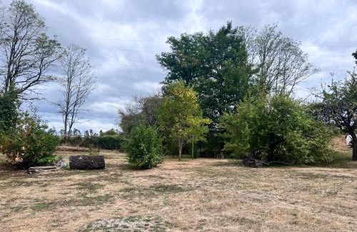 Gorbea Apartment | Cabañas NATURE