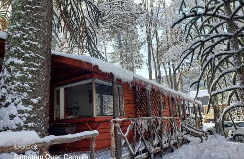 Curacautin House | Cabañas Pukem