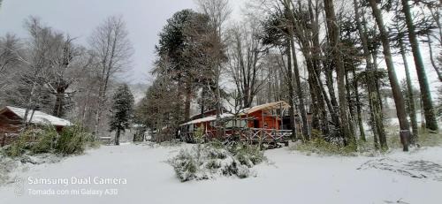 Curacautin House | Cabañas Pukem
